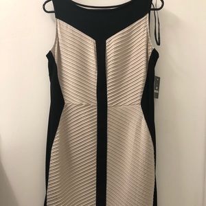 NWT SD Collection Wear to Work Dress Size 8